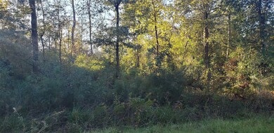 0 Crossroads unit 77122125, Splendora, TX 77372 - photo 2