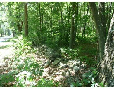 Land/Lot.