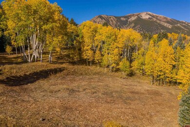 794 Red Mountain Ranch Lower Loop, Crested Butte, CO 81224 - photo 6