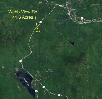 Phillips 41.6 acres