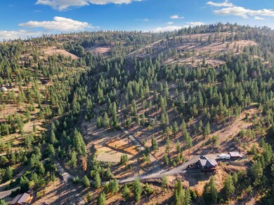 31635 E Ringneck Ln, Davenport, WA 99122 - photo 7