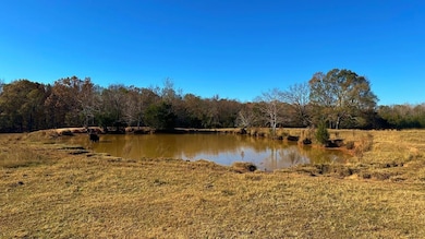 0 Oscar Walton Rd unit 24714036, Tignall, GA 30668 - photo 4