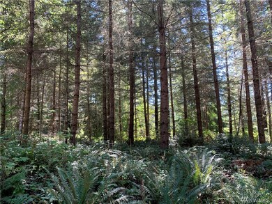 18520 250th Ave E, Orting, WA 98360 - photo 5