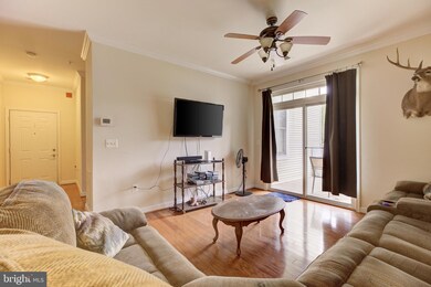 6163 Willow Place unit 104, Bealeton, VA 22712 - photo 4