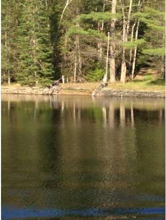 7 Goose Pond Rd, Hanover, NH 03755 - photo 2