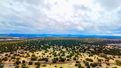 IMG_9759