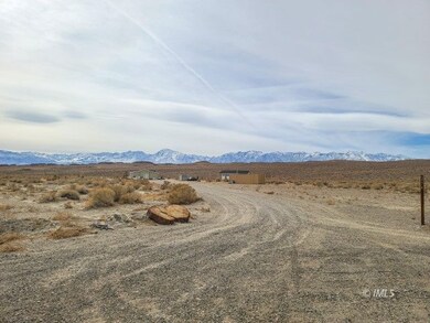 Local View