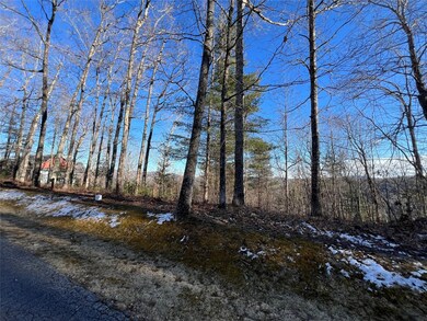 26 Shepherds Gap Rd, Cullowhee, NC 28723 - photo 4