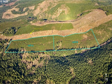 0 Kellett Rd unit B, Washougal, WA 98671 - photo 3