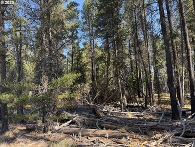 0 Cloudcap Dr unit 6, Chiloquin, OR 97624 - photo 4