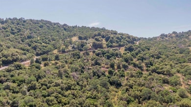 0 Ruth Hill Rd unit 616689, Squaw Valley, CA 93675 - photo 6