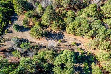 0 Mansfield Brown Rd, Warthen, GA 31094 - photo 5