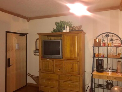 223 W Hunter Ridge Dr unit 3220, Brian Head, UT 84719 - photo 2