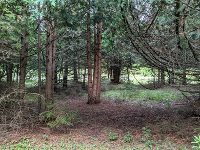 Gorman Rd 3.4 acres (5)