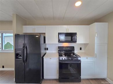 156 Mallard St, Golden, CO 80401 - photo 4