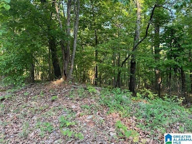 0 Davis Acres Dr unit 72 & 73 21417315, Alpine, AL 35014 - photo 5