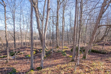 0 Clark Rd Lot 6, Masonville, NY 13839 - photo 6