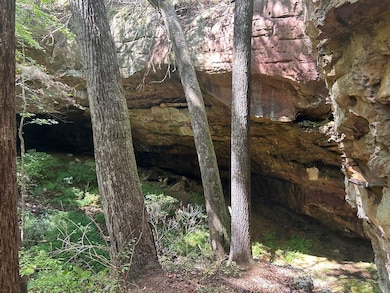 Lot 8 Junaluska Dr, Jamestown, TN 38556 - photo 2