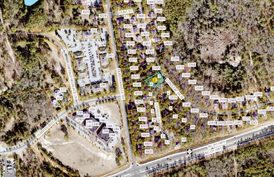 Aerial View 250 ft.