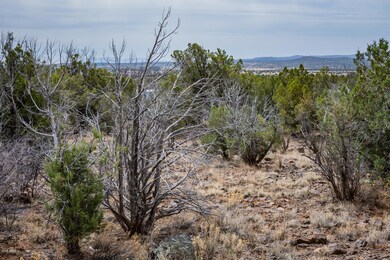 _DSC6745