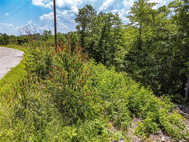 0 Carsaig Cir unit 1247601, Bella Vista, AR 72715 - photo 6