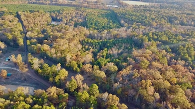 10414 Cactus Rd, Ore City, TX 75683 - photo 2