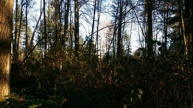 104 SE 288th St, Graham, WA 98338 - photo 2