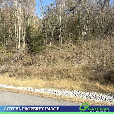 0 Bella Grace Dr unit 25713234, Smithville, TN 37166 - photo 3