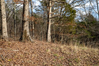 4038 Elihu Cabin Hollow Rd, Somerset, KY 42501 - photo 5