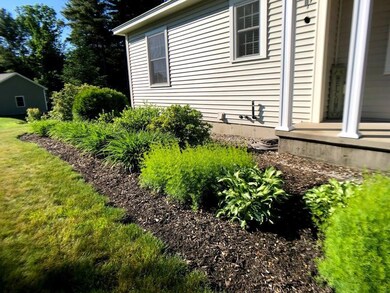 Front of house plants