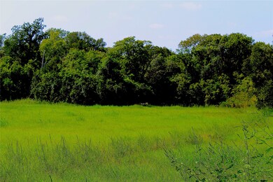 0 County Rd 151 unit 15347869, Boling, TX 77420 - photo 5