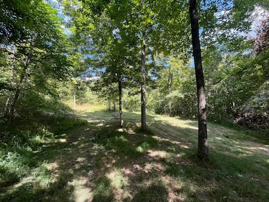 0 Old Sulphur Spring Rd, Columbia, KY 42728 - photo 7