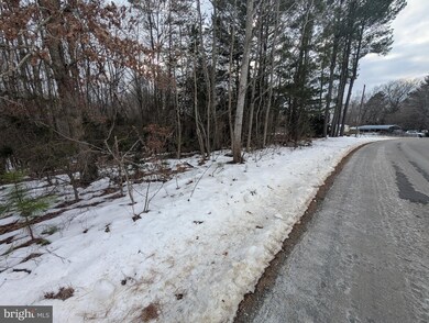 13804 Long Branch Rd, Woodford, VA 22580 - photo 3