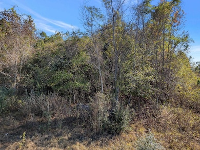 0 Hickory Woods Trail unit 393886, Tallahassee, FL 32312 - photo 5