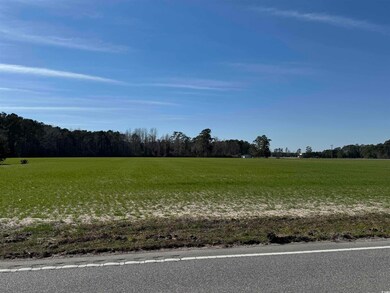 View of yard featuring a rural view and a wooded v