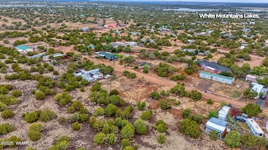 photo (7) 8427 Snowflake Cir Land Hunter