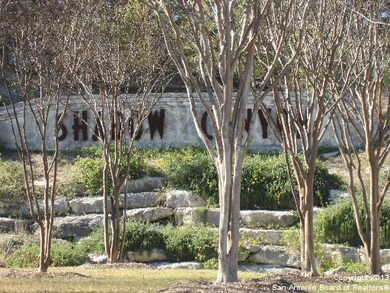 12323 Cross Cut, Helotes, TX 78023 - photo 2