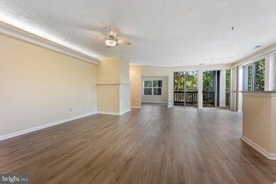 1126 Back Creek Loop, Solomons, MD 20688 - photo 7