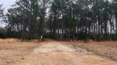 1284 Cheyenne Rd unit Lot 1, Conway, SC 29526 - photo 4