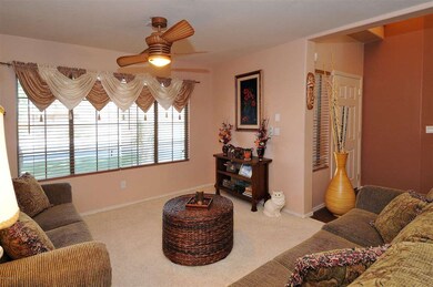 Formal Living Large Window