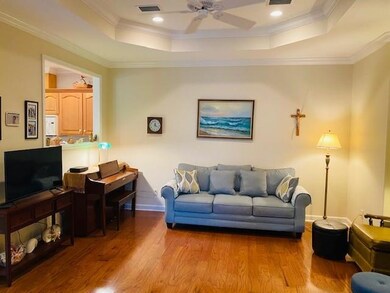 Living Area with Trey Ceilings