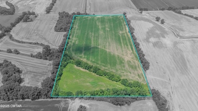 -- Holcomb Rd, Ripley, TN 38063 - photo 2