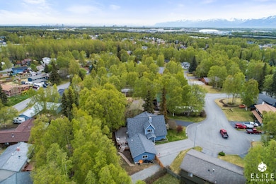 Aerial Neighborhood