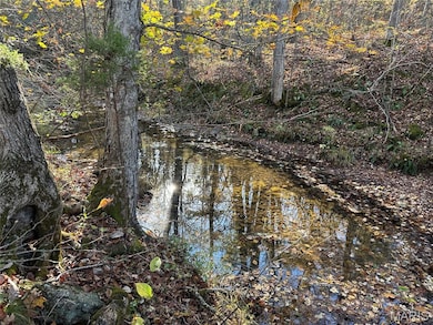 00 County Road 4, Belleview, MO 63623 - photo 4