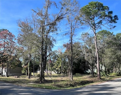 TBD E Lake St, Palatka, FL 32177 - photo 2