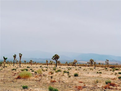 12452 Golden View Rd, Piñon Hills, CA 92372 - photo 3