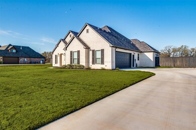 129 Lucky Ridge Ln, Boyd, TX 76023 - photo 3