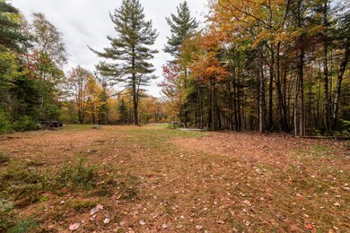 328 Cape Moonshine Rd, Wentworth, NH 03282 - photo 2