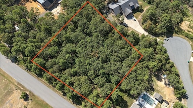 9911 Panther Mountain Rd, North Little Rock, AR 72113 - photo 2