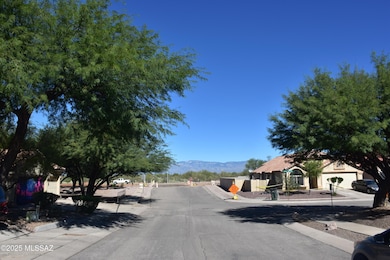7344 S James Dean Ave, Tucson, AZ 85747 - photo 4